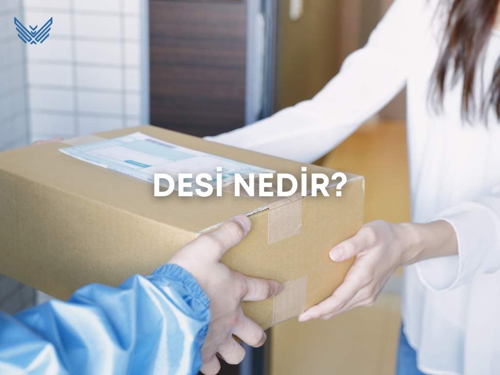 DESİ NEDİR? | Kargonun Maliyetindeki Hesaplama Birimi